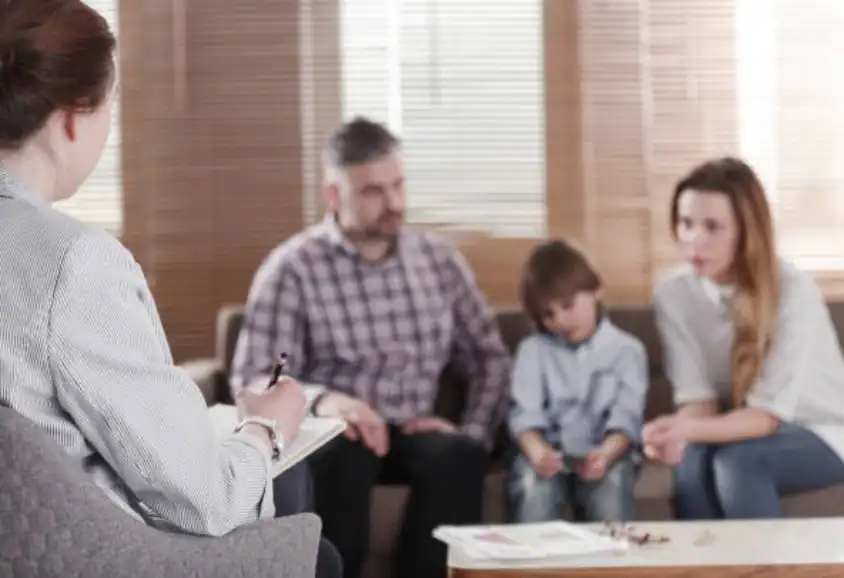 Child Custody and Relocation in International Family Disputes Havant